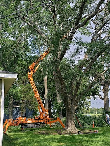 Justin's Tree Service & Stump Grinding