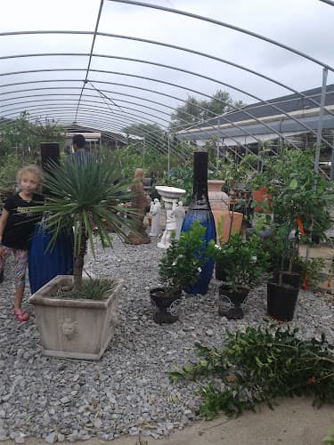 Al Cook Nursery & Landscaping