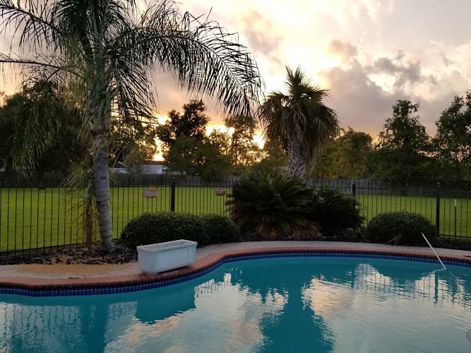 Pool Techniques in Nederland, TX