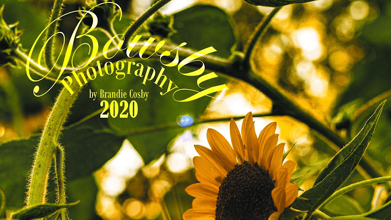 Bowsby Photography in Cushing, TX