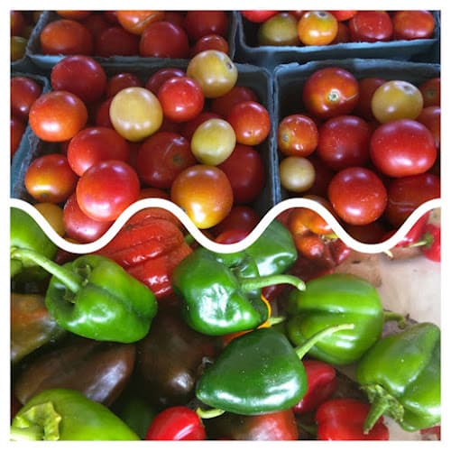 Millard Farms