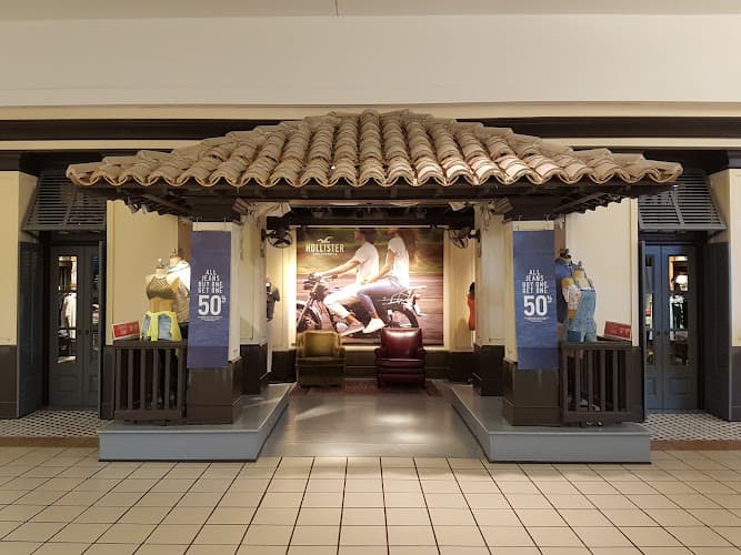 Hollister Co.