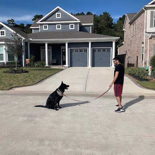 Lone Star K9 Companion Training LLC.