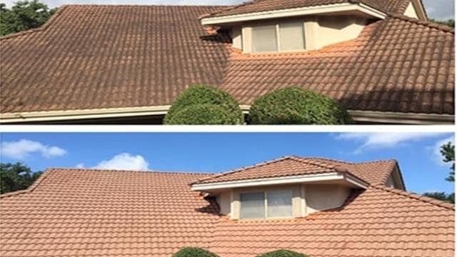Champion Roof Cleaning and Pressure Washing