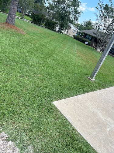 The Lawn Guys
