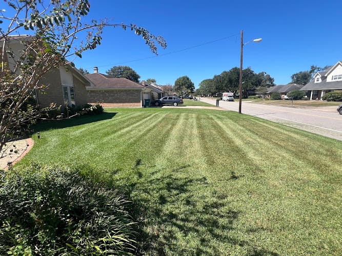 True Lawn Care
