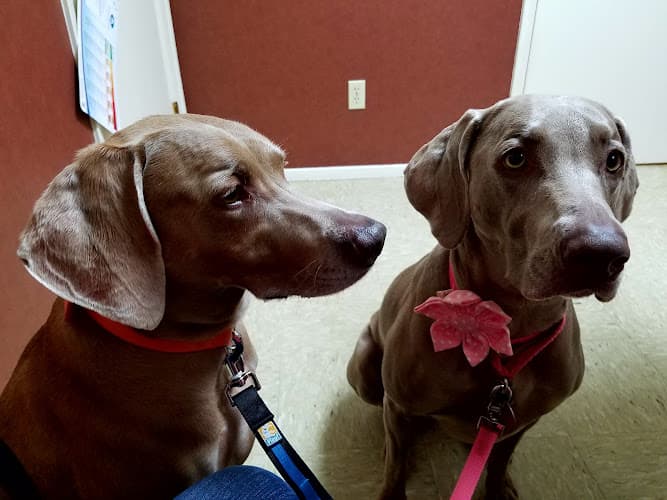 Appleby Sand Road Animal Clinic