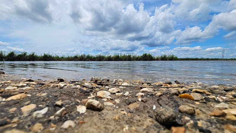 Lower Neches WMA