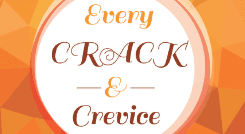 Every Crack & Crevice in Port Neches, TX