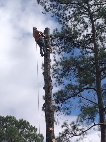 Out On A Limb Tree Care