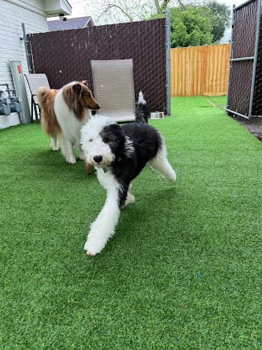 Tail and paw Mid-County