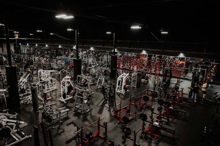 WHY GYM