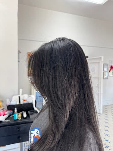 Lemon Meadow Professional Hair Design