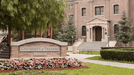 Farmers Insurance - Alisa Manuel