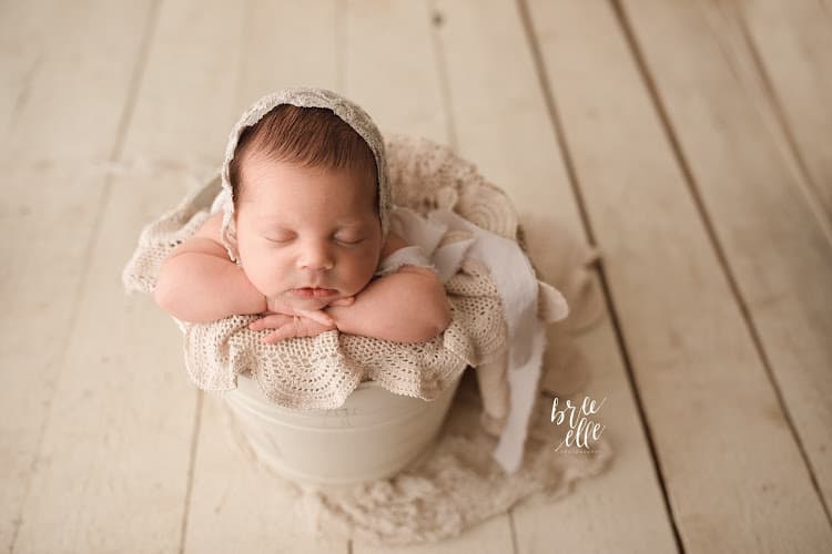 Bree Elle Photography
