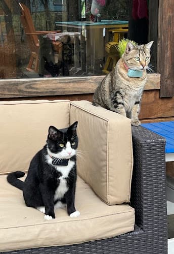 Livingston Animal Hospital