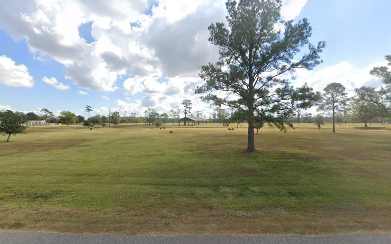 Tyrrell Park - Playground Shelter