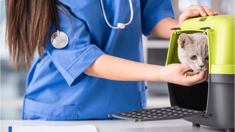 Sherwood Animal Clinic