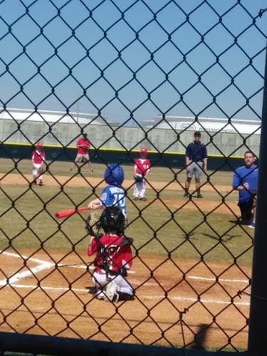 Nederland Little League