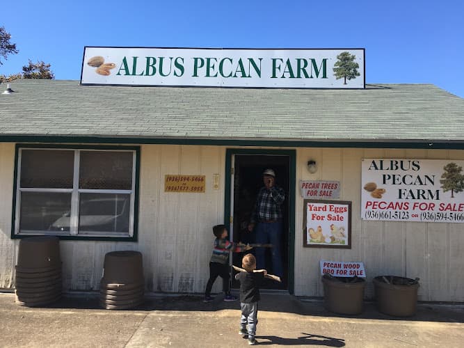 Albus Pecan Farm
