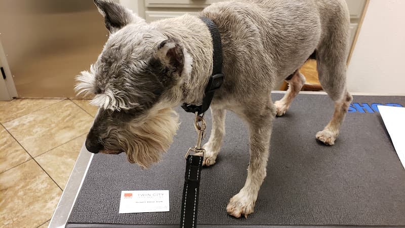 Twin City Veterinary Clinic