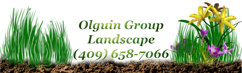Olguin Group Landscaping in Port Arthur, TX