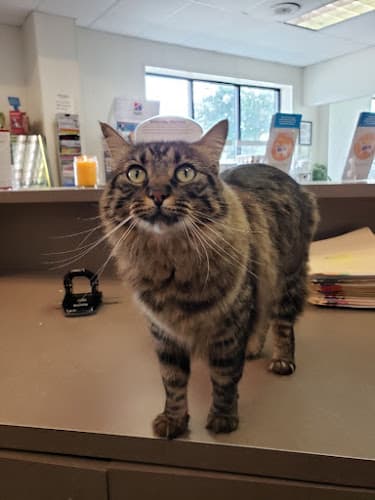 Livingston Animal Hospital PC: Robison Bud DVM