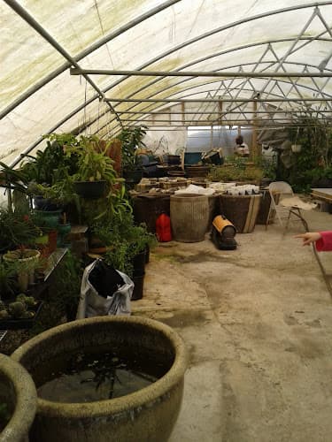 Diane's Pottery