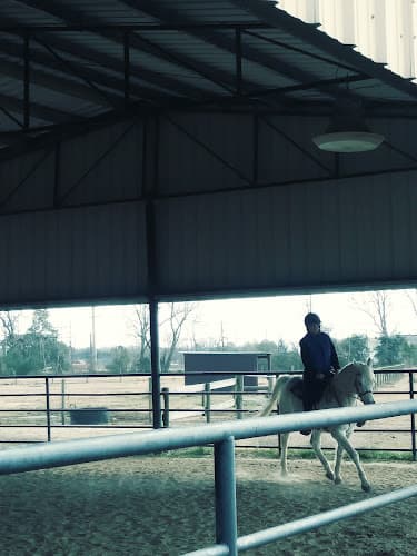 Plum Nearly Ranch