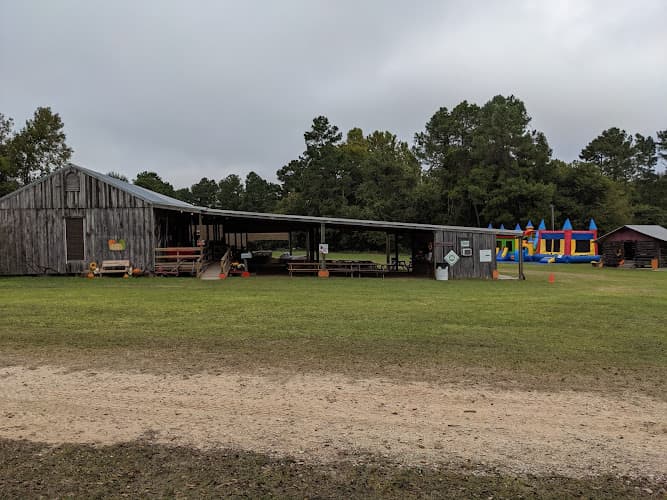 Double Creek Christmas Tree Farm in Livingston, TX
