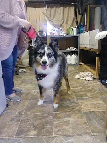 Breezy's Grooming Salon