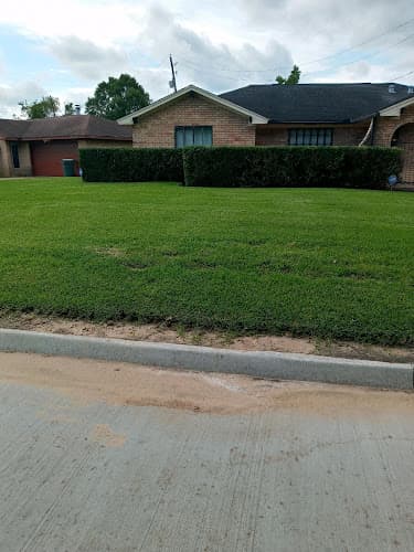 Martin's lawn services in Nederland, TX