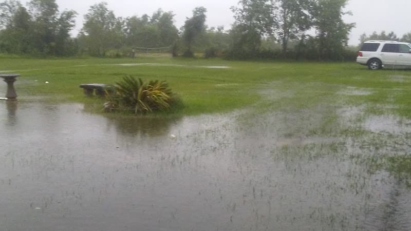 New Bethel Missionary Baptist Church of Cheek