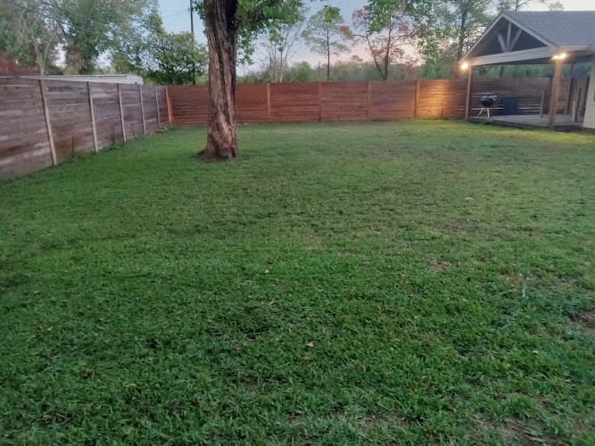 N's lawn care