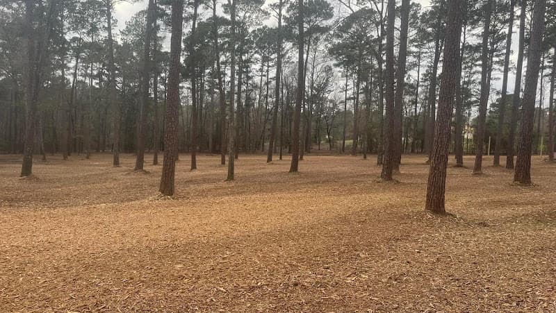 Brush Pro Mulching