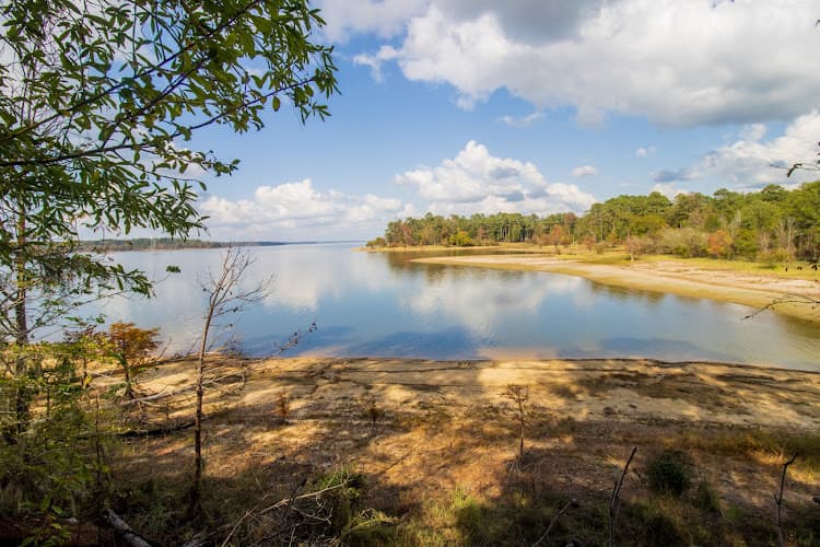 Woodsmen Realty