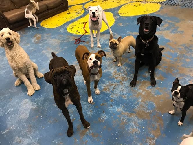Planet Canine, LLC