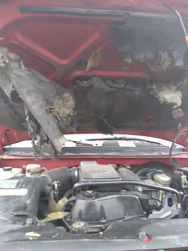 Pena's Automotive