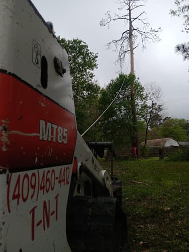 TnT tree service