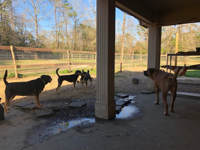 GBA Pet Service LLC
