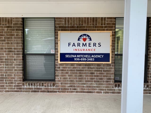 Farmers Insurance - Selena Mitchell