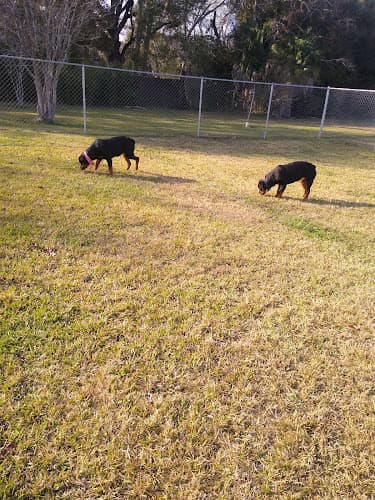 Pawhurst dog park