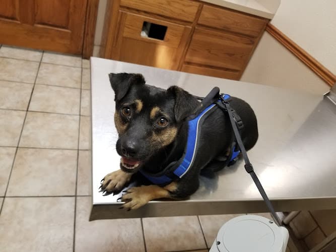Beaumont West Animal Care