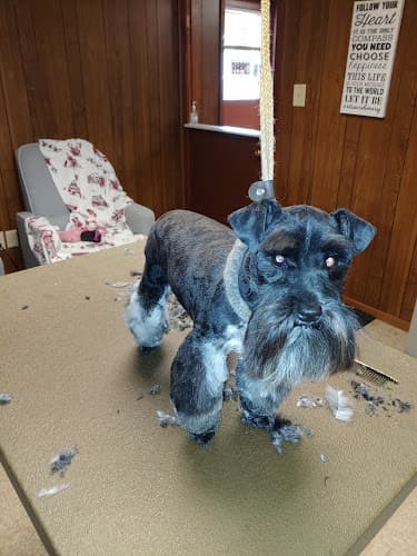 Melissa's pet grooming