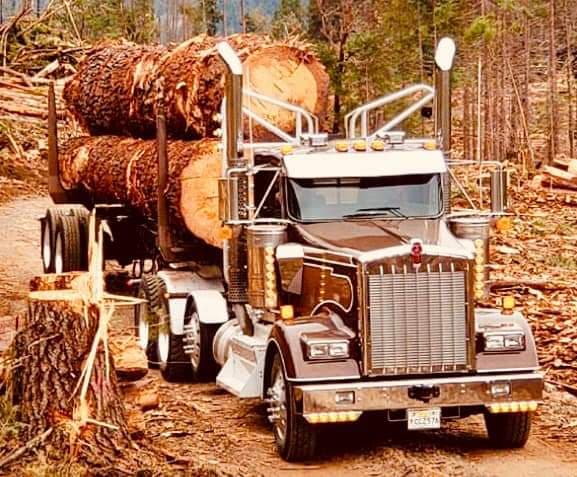 T & V F TRUCKING, L.L.C.