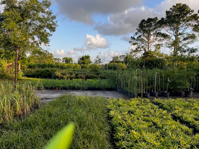 Utility Research Garden in Colmesneil, TX