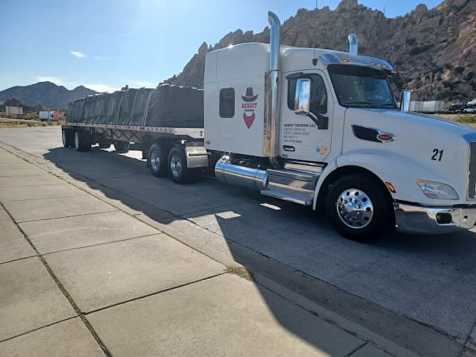 Bandit Trucking, LLC