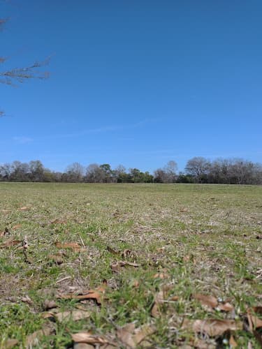 Ritchie Street Park
