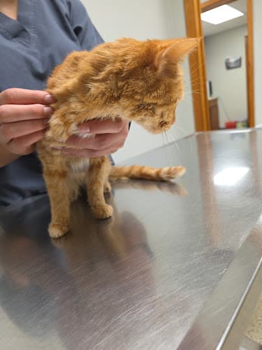 Groves Veterinary Clinic