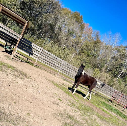 Tempe Creek Ranch
